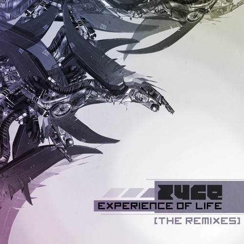 01. Zyce - Experience Of Life (Original Version)