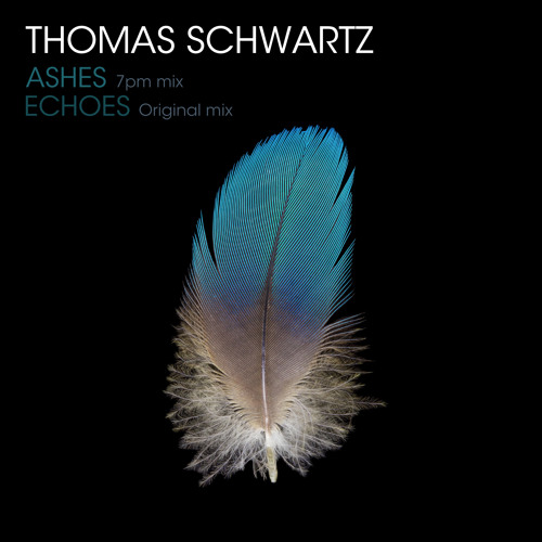 Thomas Schwartz - Echoes