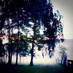 John Nasser & His Late Mother Catherine Nasser  "Mister Shane"