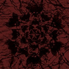 What To Do When Awake Within A Dream