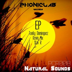 Tonily Dominguez - The Flute Dog (Original Mix)[Phoniclab Records]