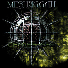 Meshuggah - New Millenium Cyanide Christ (Cover)