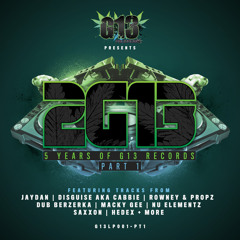 G13LP001-PT1 - VARIOUS ARTISTS - 2G13 LP - G13 RECORDS - OUT NOW!!!!