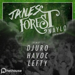 [Out Now] Naylo - Janes Forest (Djuro Remix)