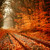 Artwork for Lutzenkirchen Late Summer Session Mix (My Autumn 2013)