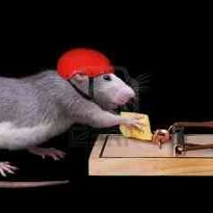 Play Me For That Cheddar prod. by @GeneralBeats