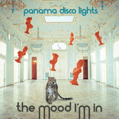 PANAMA DISCO LIGHTS - THE MOOD I'M IN (RODION NERO DUB REMIX)