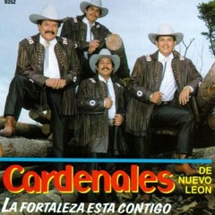 Cardenales De Nuevo Leon Que Daria Yo 1995
