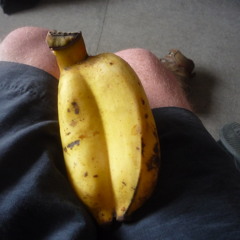 dedicated to my beloved nepi nepi