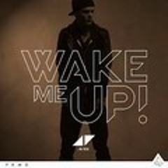Avicii-Wake Me Up (Fl Studio Remake) Vocal Version