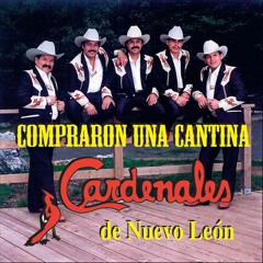 Cardenales De Nuevo Leon Compre Una Cantina 1992