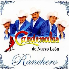 Cardenales De Nuevo Leon El Primer Tonto 1992
