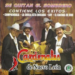 Cardenales De Nuevo Leon Comprendala 1994