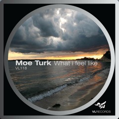 VL118 - Moe Turk - What I Feel Like (original Mix) [Preview]