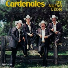 Cardenales De Nuevo Leon Amor Chiquito 1990