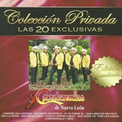 Cardenales De Nuevo Leon Belleza De Cantina 2002