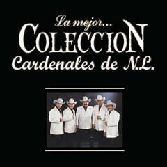 Cardenales De Nuevo Leon Mi Amante 2003