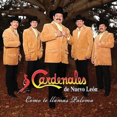 Cardenales De Nuevo Que No Daria 2006