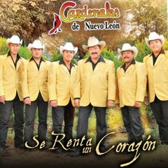 Cardenales De Nuevo Leon Se Renta 2009
