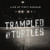Artwork for Trampled by Turtles- Wait So Long
