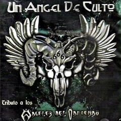 El Principio Del Fin - Garrobos