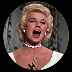 Doris Day - Fly me to the moon (Cover)