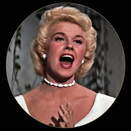 Doris Day - Fly me to the moon (Cover)