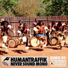 HummanTraffik - Never sound Mono (Jorgensen & Farshad Kay Remix)