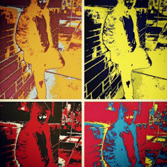 Fuck wit a few fooly kuly