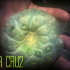 THR cru2 - Peyote En El Desierto