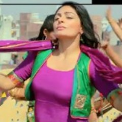 Aibo - RSVP Ronde Saare Viah Picho