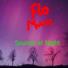Sounds at Night