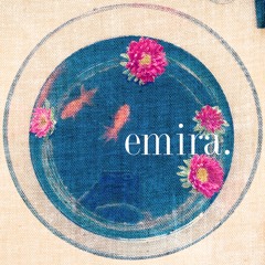 Don't Forget (Hindi Zahra cover)