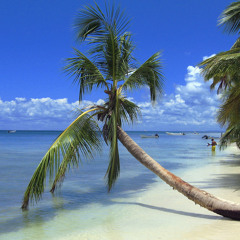 On The Beach Somewhere In D.R Looking For A Mami Whose Vagina Smells Like All Goya Products