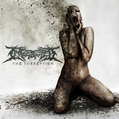 Ingested - Castigation And Rebirth