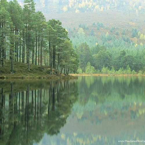 Green Trees & Shining Moons - Output - Stereo Out