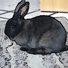 Frau Crystal M. schaut kurz vobei