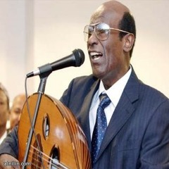 محمد الامين-عابر طريق