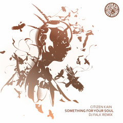 Citizen Kain - Something For Your Soul (DJ Falk Remix)