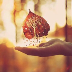 beauty to share