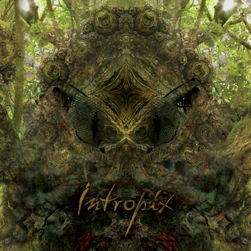 03. TROGLODYTES - Potion Lotion