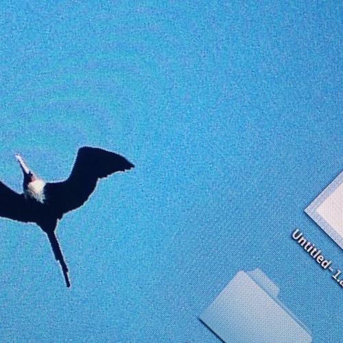 Tô - Meditando #1