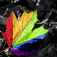 καταζητείται