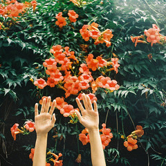 Nu Disco/Deep Disco of September