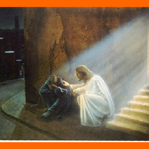 Quando Tudo Diz Que Não.Trazendo a Arca