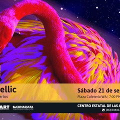 Paisadellic Track 1 CEART Tijuana