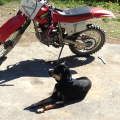 Swervin (No Head Lights)