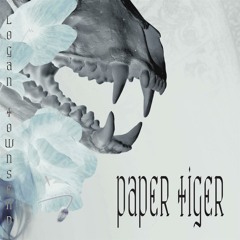 Paper Tiger