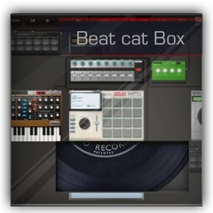 Check !t-Beat cat Box at Garage
