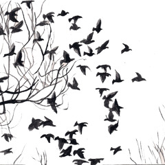 Lullaby of Birdland - Manu Manzo (Sarah Vaughn cover)